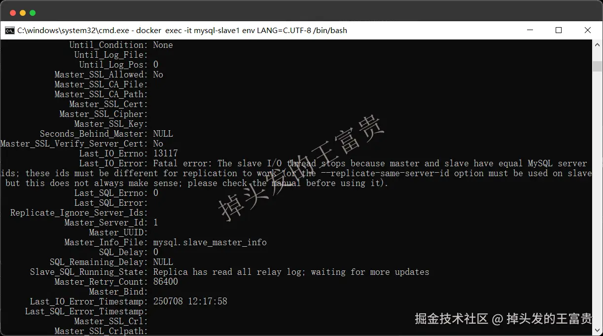 image-20250708202611263