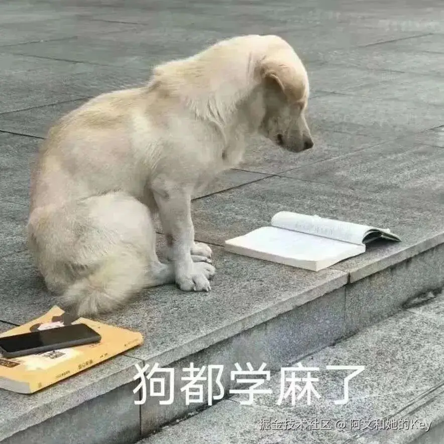 微信图片_2026-06-10_100022_930.jpg