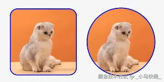 效果图