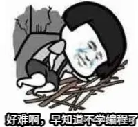 好难 不该学编程的
