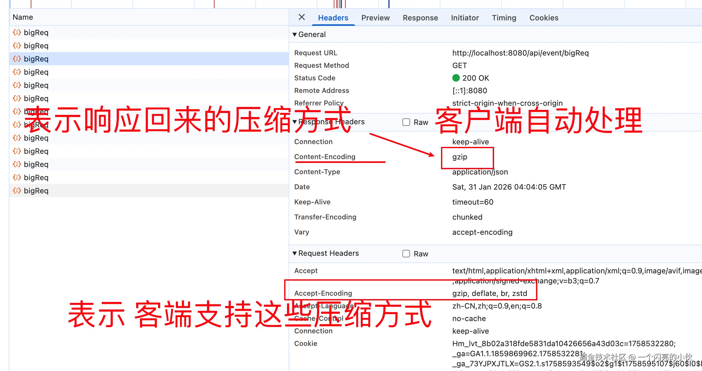 image-20260131203122743