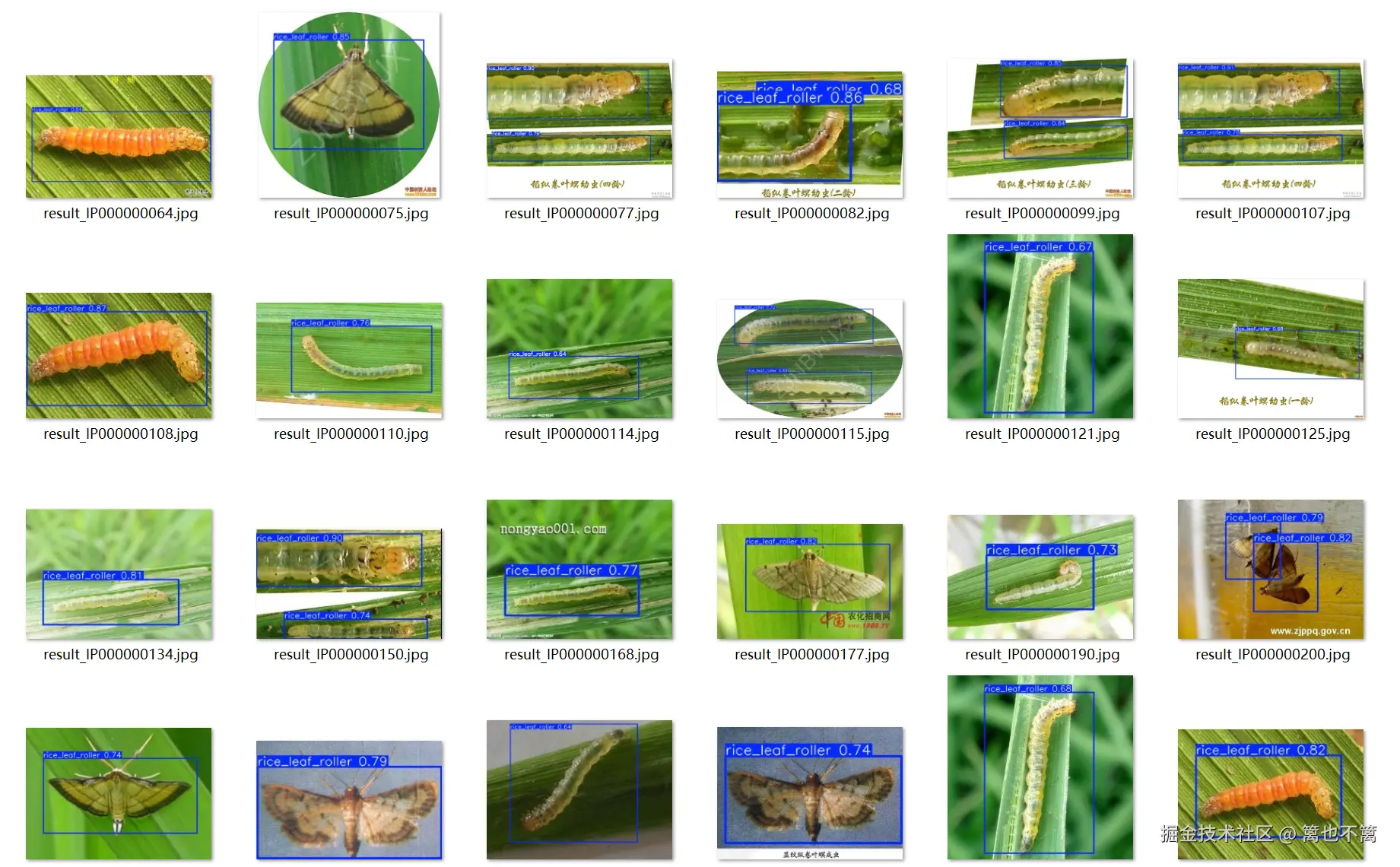 image-20250601162539408