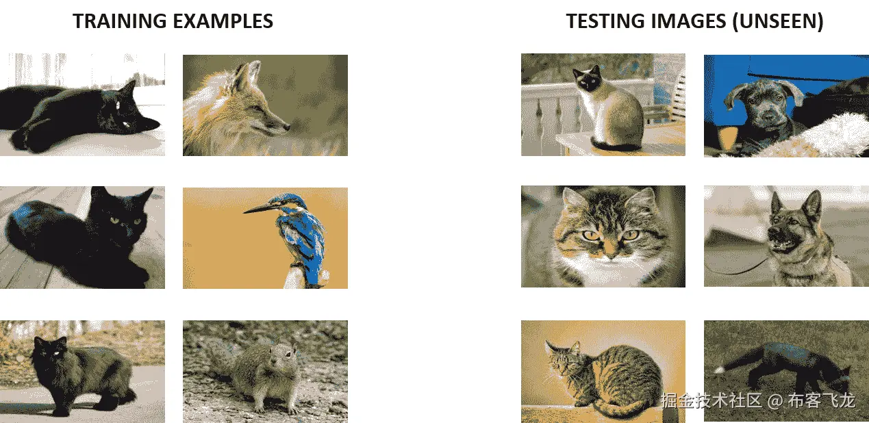 图 4.18：猫分类器。即使仅使用黑猫进行训练，该模型也能识别有色猫