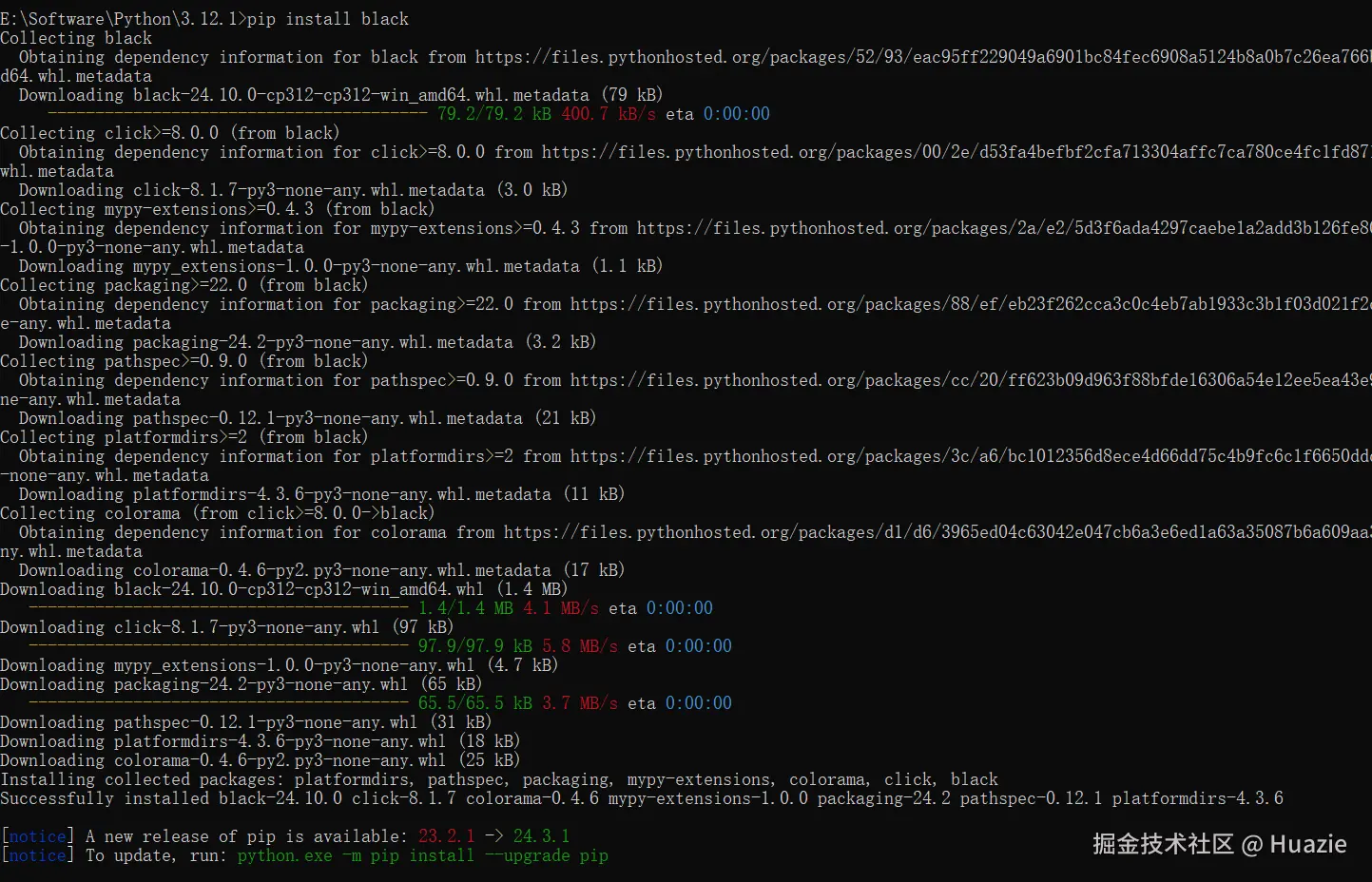 pip-install-black.png