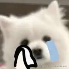 0034C46C.jpg