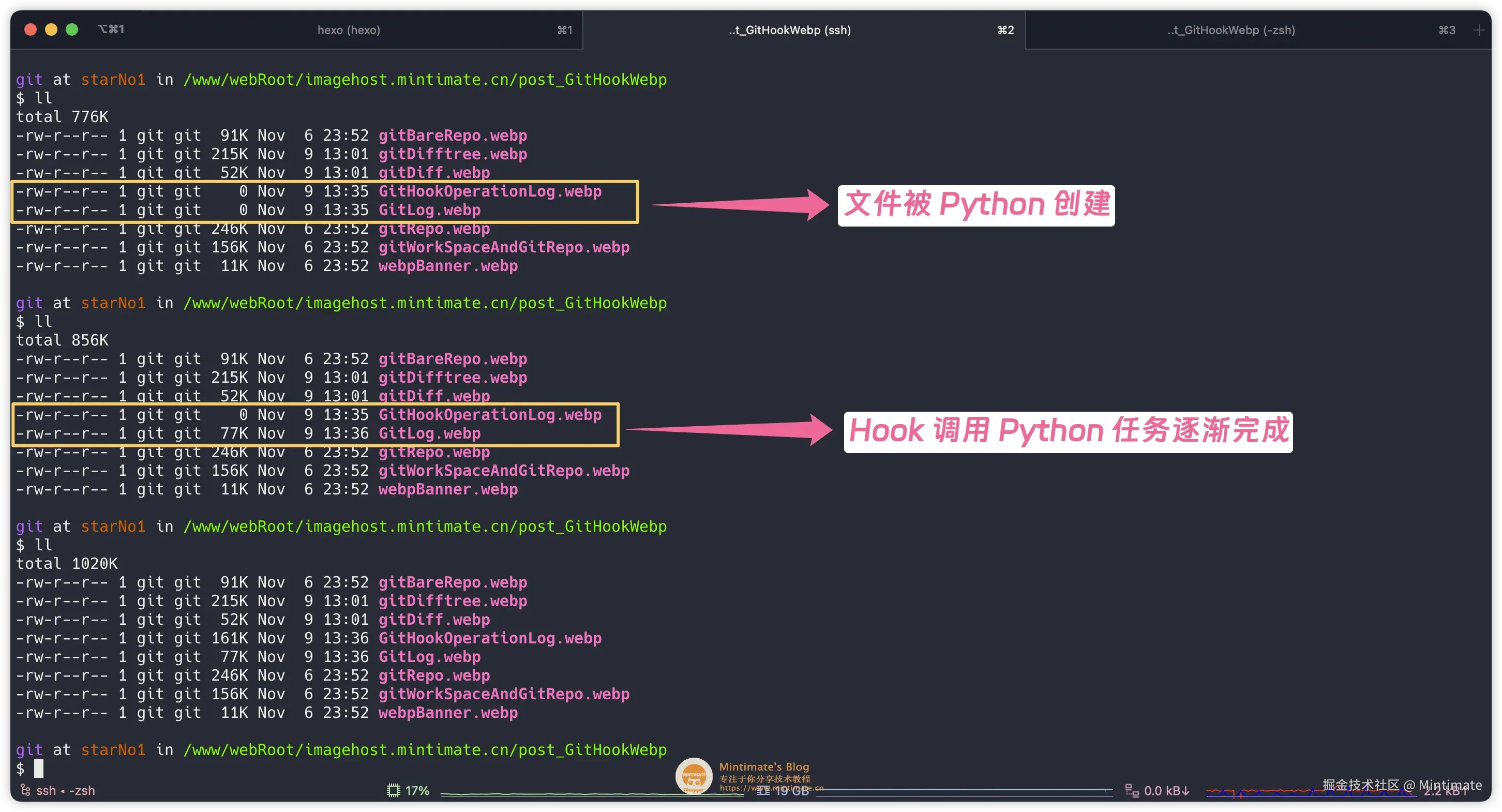 查看 Git Hook 转换后的图片