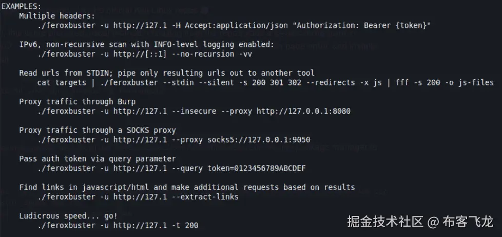 图 7.37 – feroxbuster