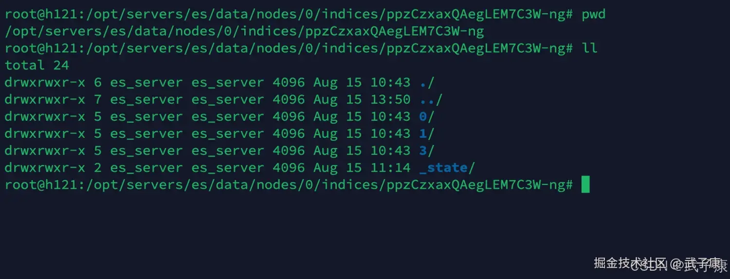 Elasticsearch 查看ES目录