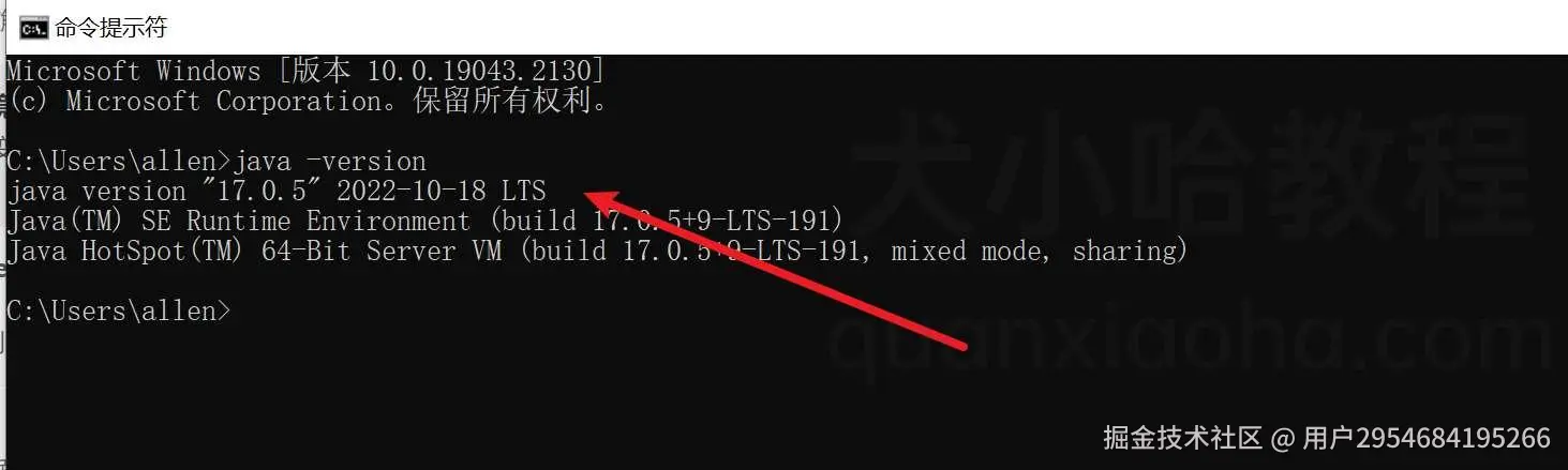验证安装成功