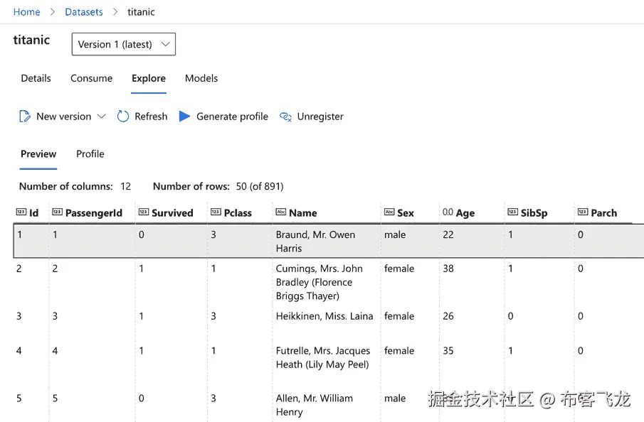 图 4.8 – 带有数据预览的数据集