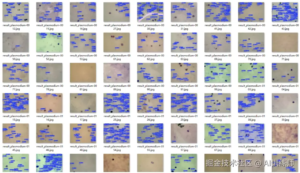 image-20250819113743867