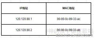 image-20241219210937814