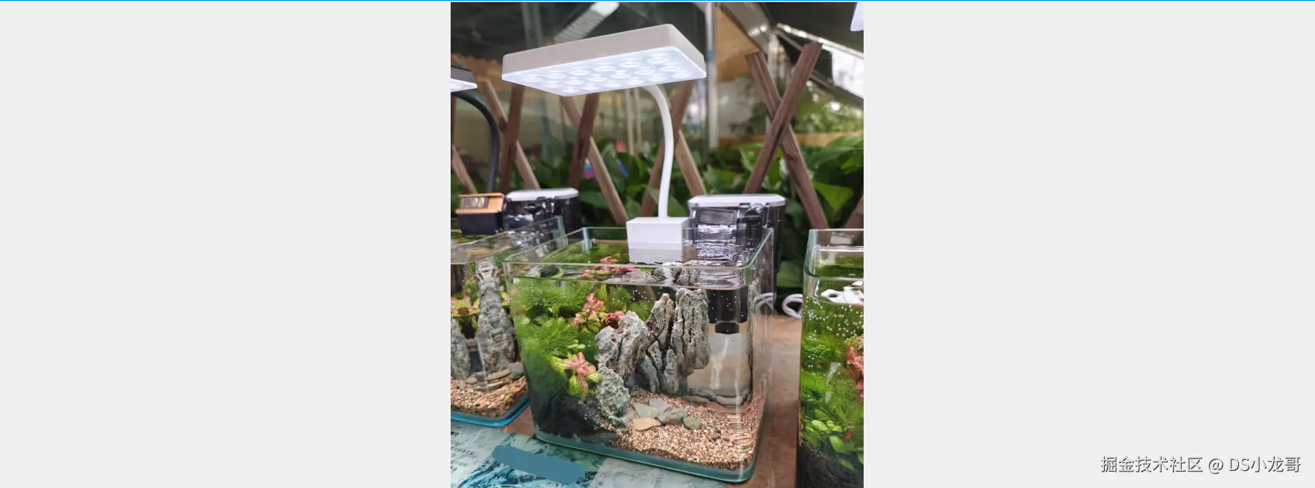 image-20240725114501219