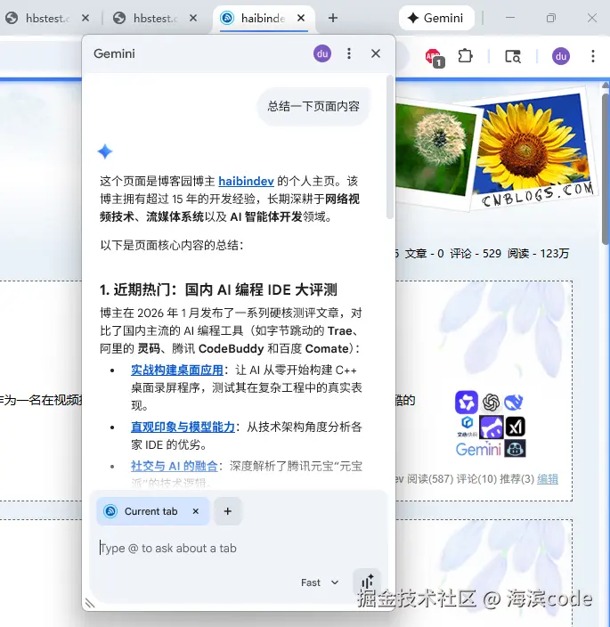 GeminiInChrome演示