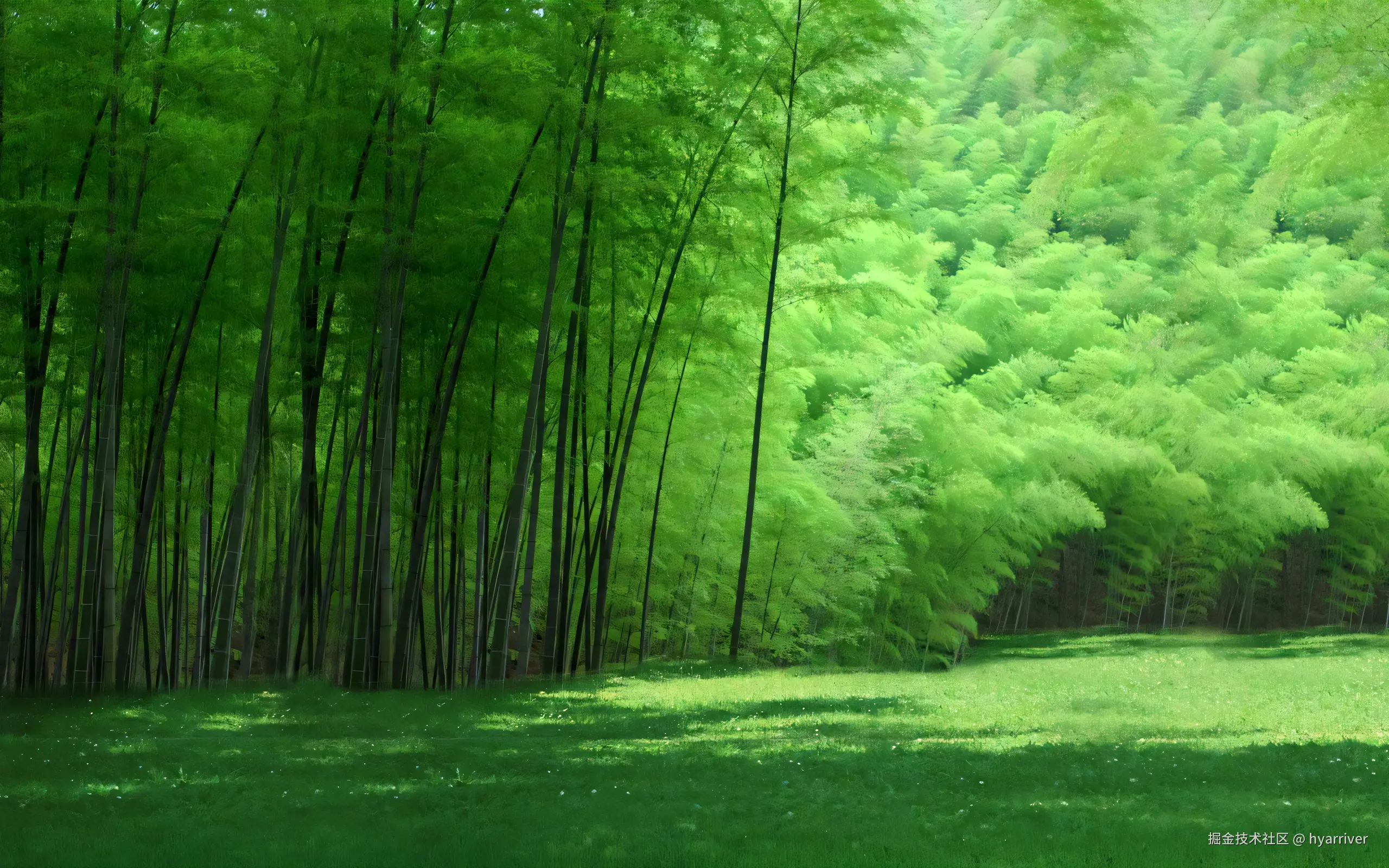 竹林.jpg