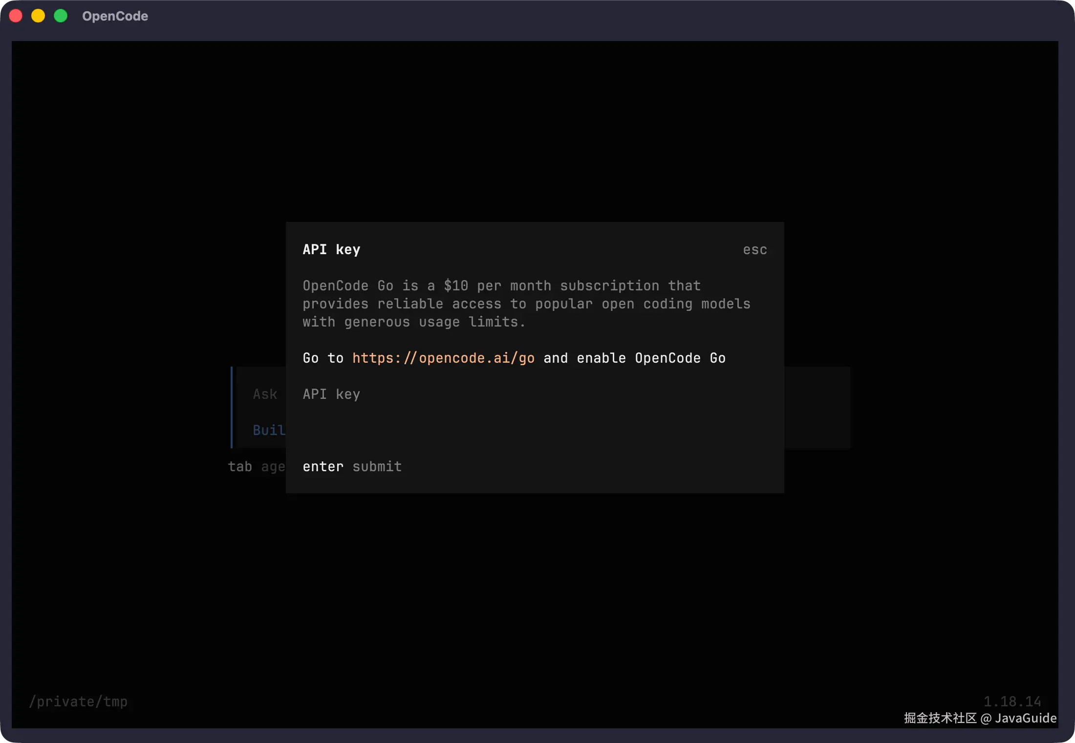 OpenCode Go 的订阅说明和 API Key 输入界面