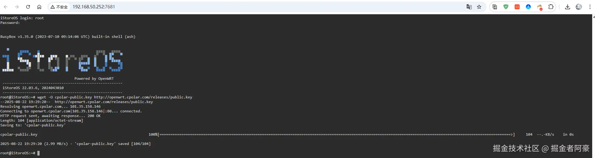 image-20250822193010314