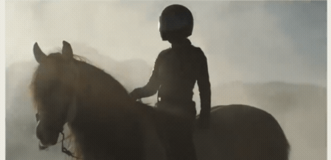 1.gif