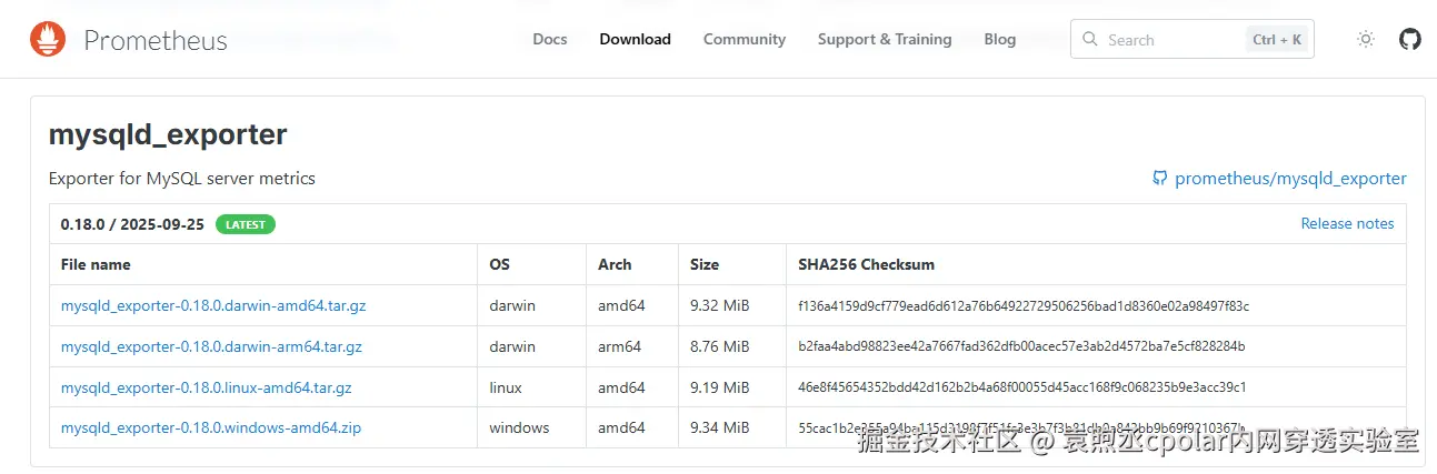 image-20251124142636252