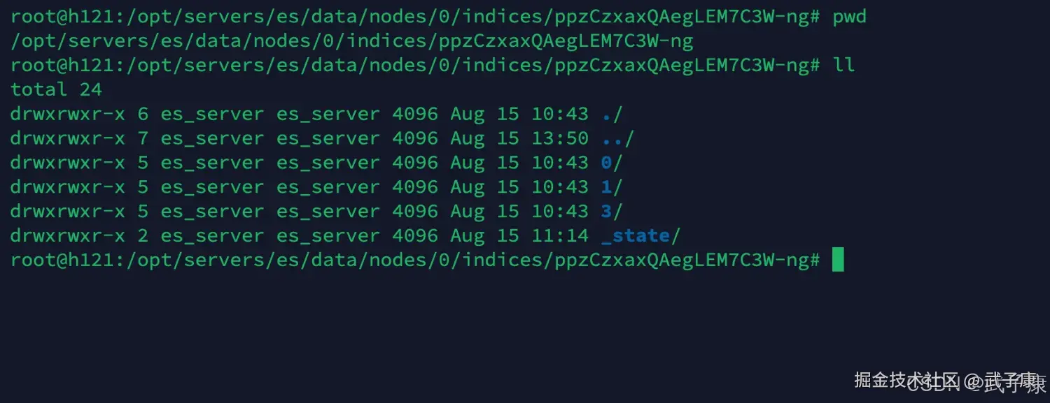 Elasticsearch 查看UUID对应的目录
