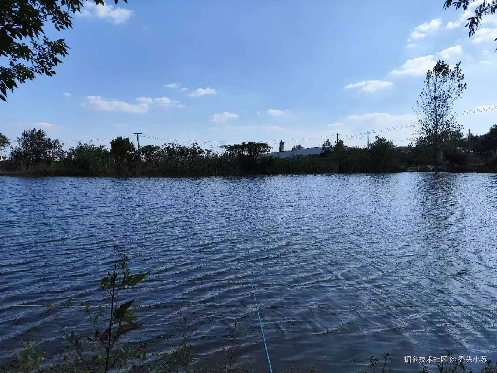 image-20250121193012003