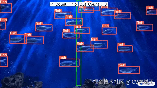 Fish Counting in Sea