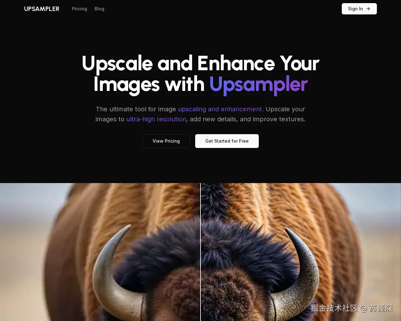 Show HN：Upsampler – 一款用于图像放大和增强的工具 - 项目截图