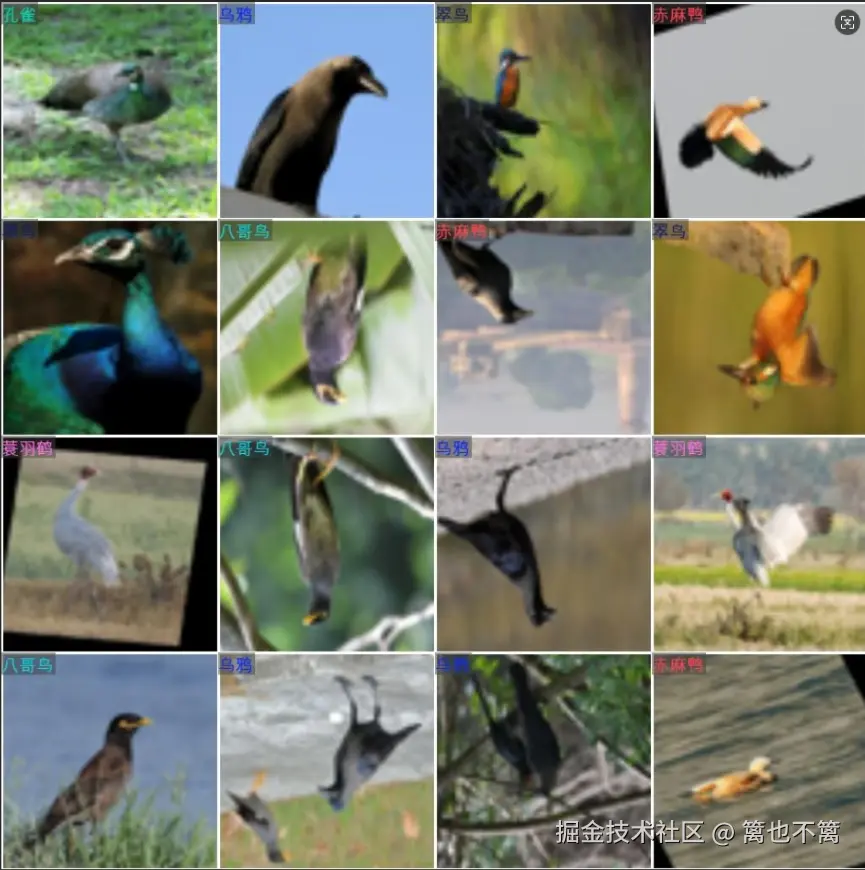 image-20250903021632803