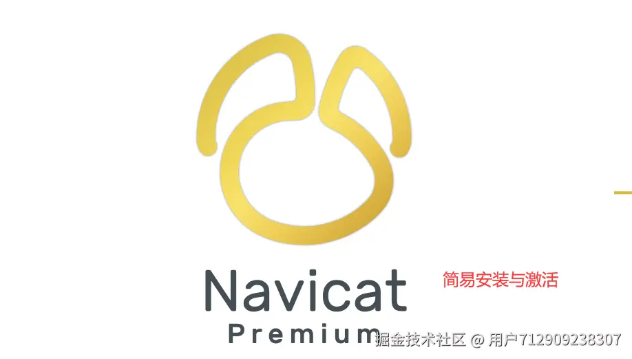 navicat.png