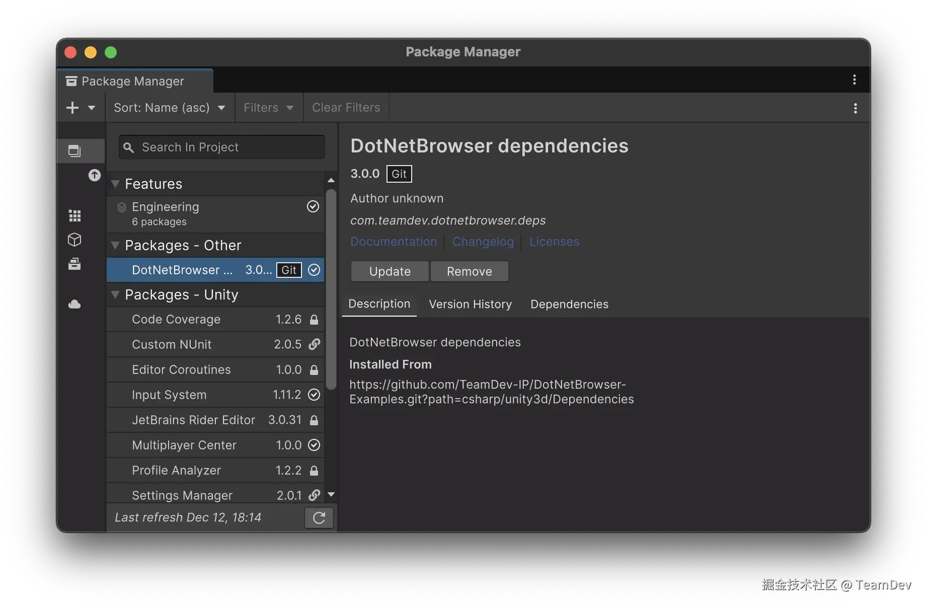 已安装 DotNetBrowser 依赖项软件包的程序包管理器。