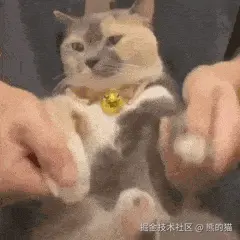 087082B2.gif