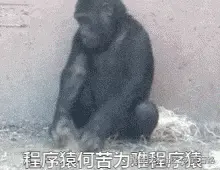 程序猿何苦为难程序猿