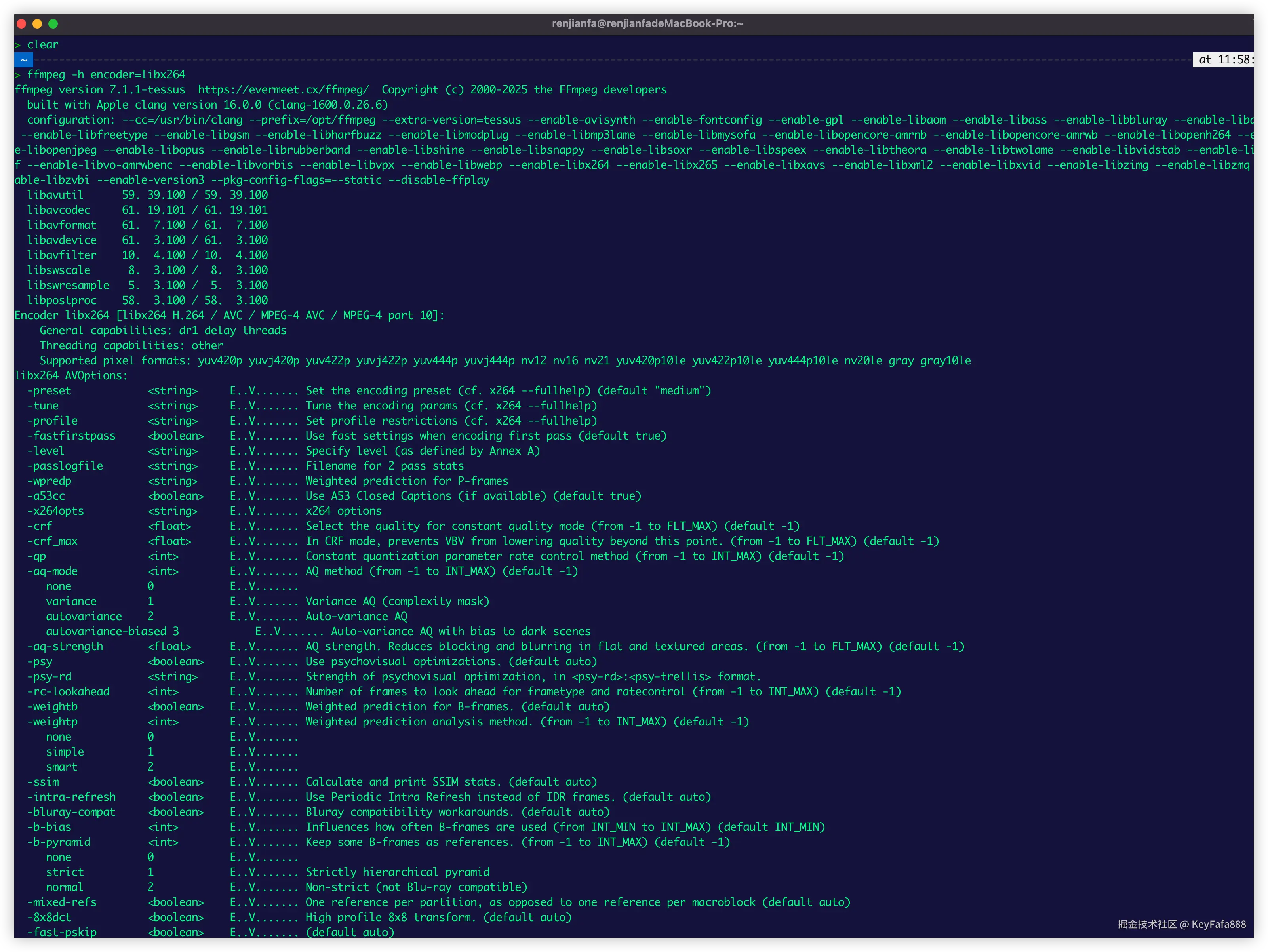 查询某个编码器的详细参数libx264