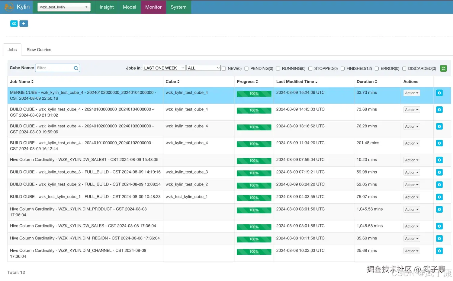 Cube Jobs 执行结果