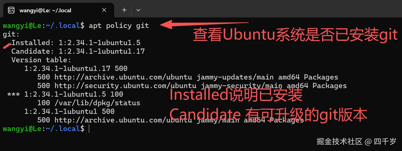 查看 Ubuntu 系统是否已经安装了