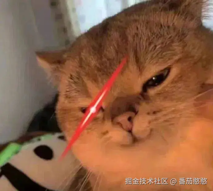 我是谁，我在哪.jpg