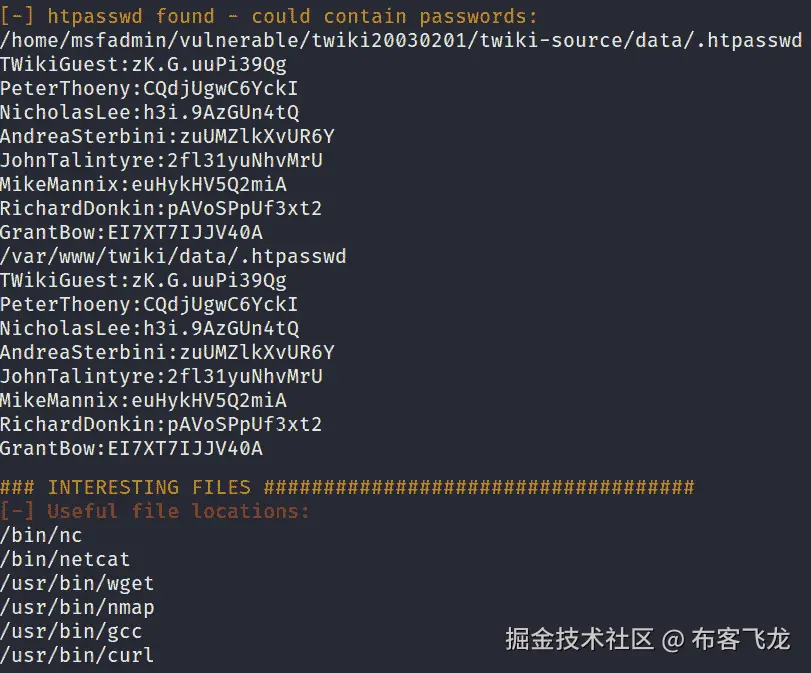 图 4.37 – LinEnum 结果
