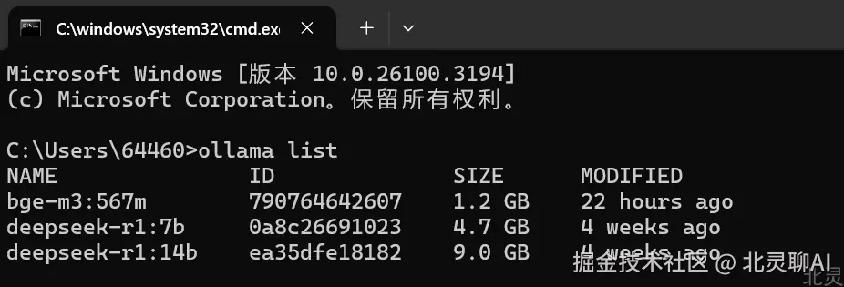 image-20250324203219441