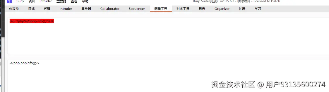 image-20250902220217344.png