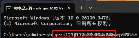 image-20250319135817803