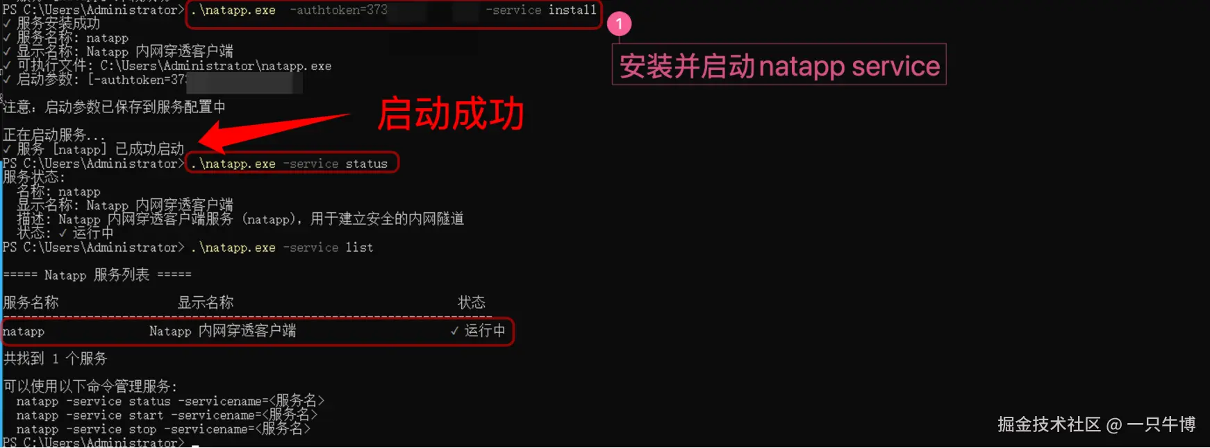 Natapp is running as a Windows system service