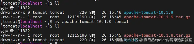 image-20250826154916980