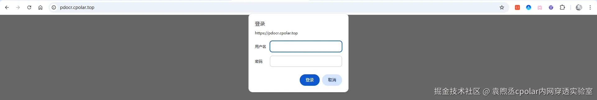 image-20251109215307265