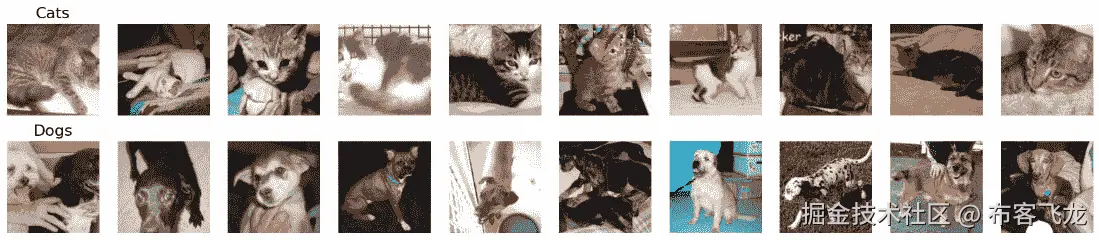 图 7.11 – 猫狗数据集