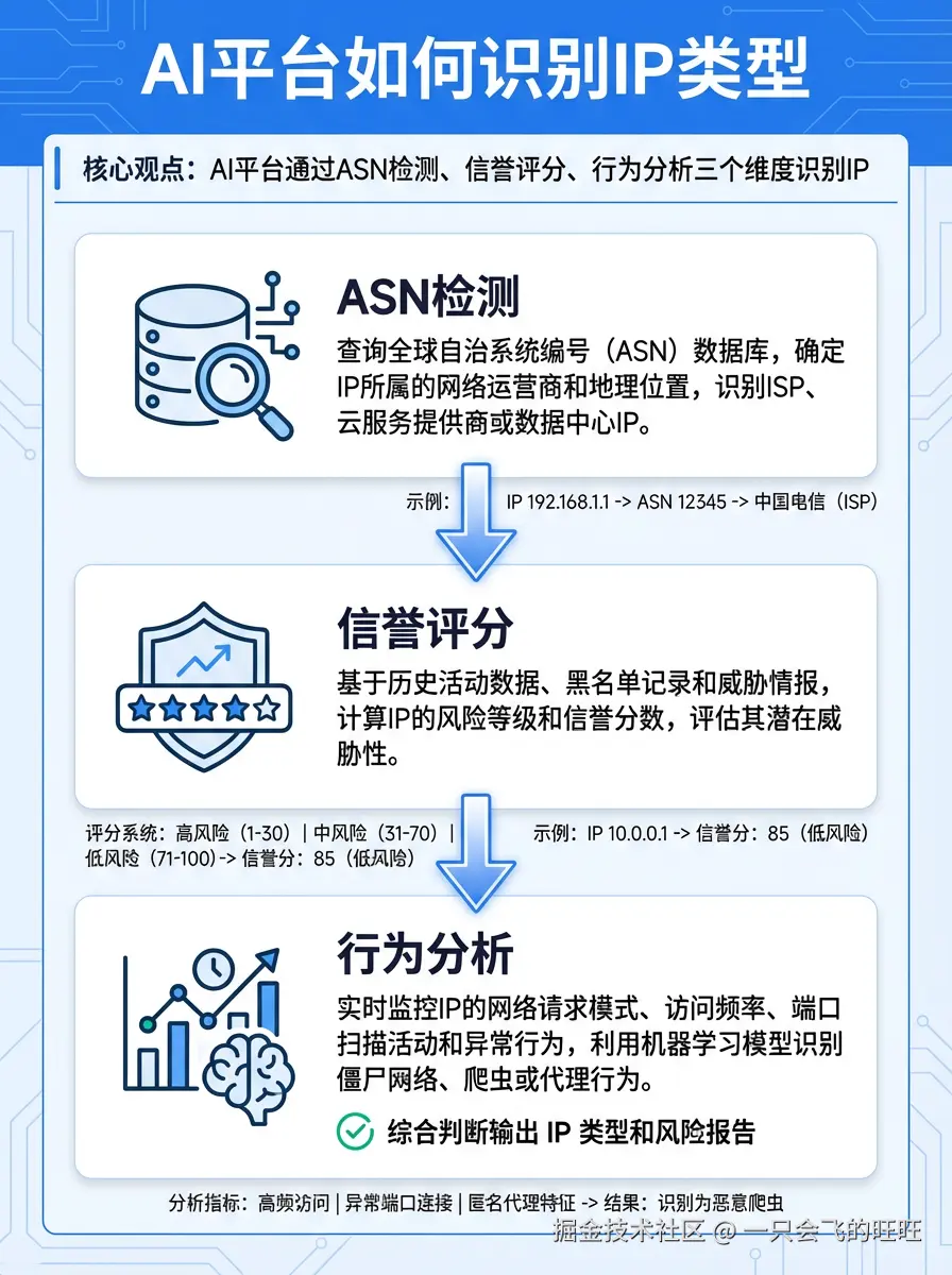 IP 类型识别流程