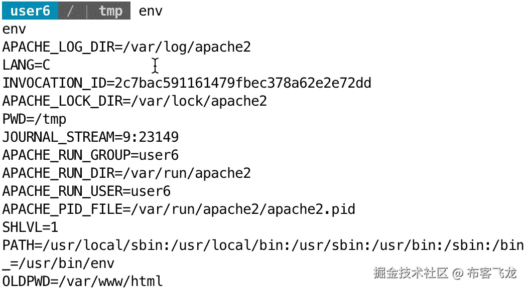 图 11.21 – 显示的环境变量