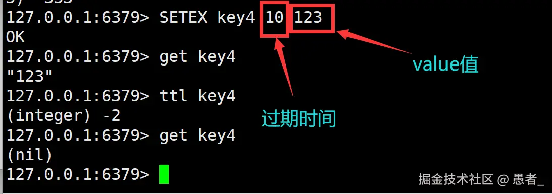 image-20240702135814721