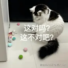 29337402.png