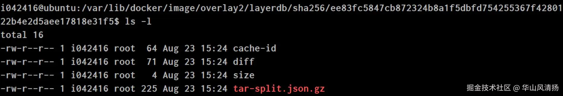 Docker镜像的目录存储讲解